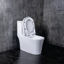 Alternative view of BỒN CẦU MỘT KHỐI LUVIKO LV8011